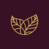 adara lifestyle adara lifestyle